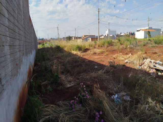 Terreno para Venda Jardim Campo Belo Jaú